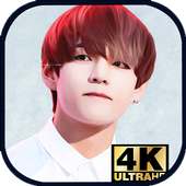 V BTS Wallpaper on 9Apps