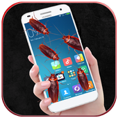 Cockroach on Phone Prank icon
