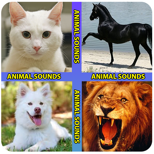 Animal sound -animal sounds ringtones icon