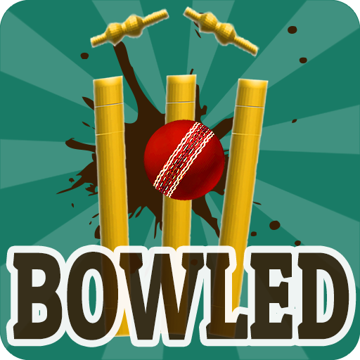 Bowled 3D - Cricket Game icon