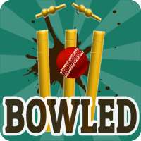 Bowled 3D - Cricket Game