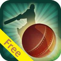 Cricket Schedule With Widget