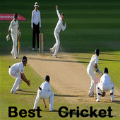 The best cricket icon
