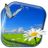 Spring Flowers Live Wallpaper icon