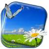 Spring Flowers Live Wallpaper on 9Apps