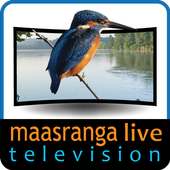 Maasranga TV