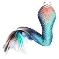 Mermaid's tail on 9Apps