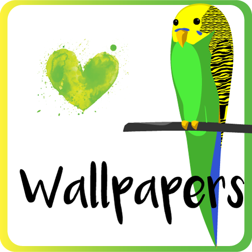 ikon I Love Parakeets Wallpaper App
