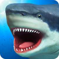 Shark Simulator