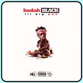 Kodak Black Songs on 9Apps