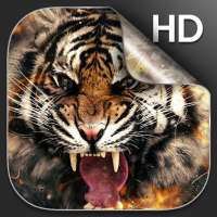 Tiger Live Wallpaper HD on 9Apps