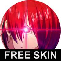 VISUAL SKIN