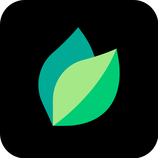 Plant ID: plant, tree, flower identification icon