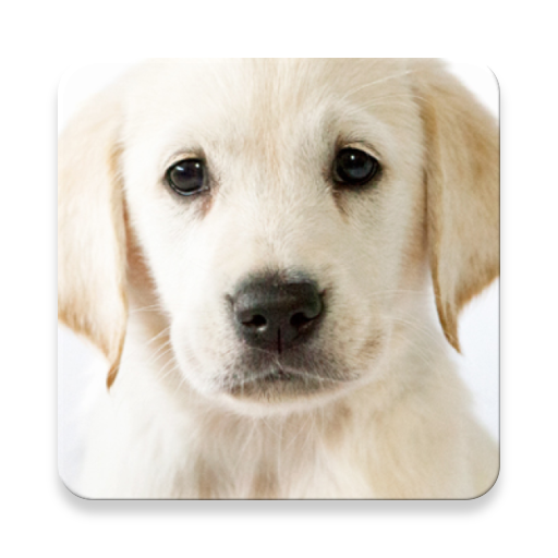 ikon Puppy Suara ~ Sclip.app