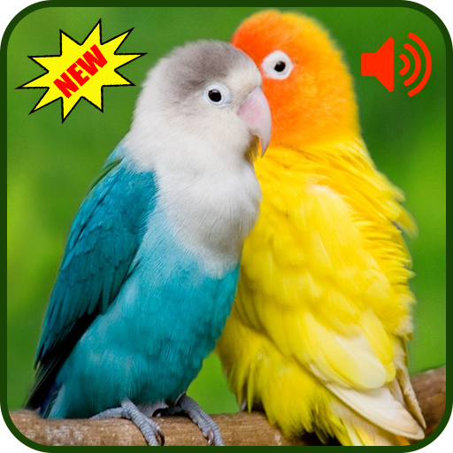 Birds Sounds Ringtones icon