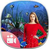 Live Aquarium Video Photo Background Editor on 9Apps