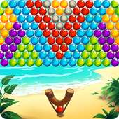 Bubble Beach Bird Rescue