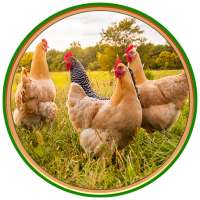 Ufugaji Bora - Mafunzo ya Ufugaji na Matibabu. on 9Apps