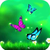 Butterfly Wallpaper HD on 9Apps