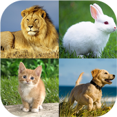 Animal quiz - Animal matching icon