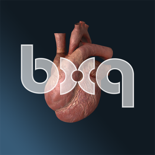 bodyxq heart icon