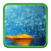 Rain Live Wallpapers on 9Apps