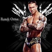 Randy Orton WWE Champion : Famous Fighting in Ring icon