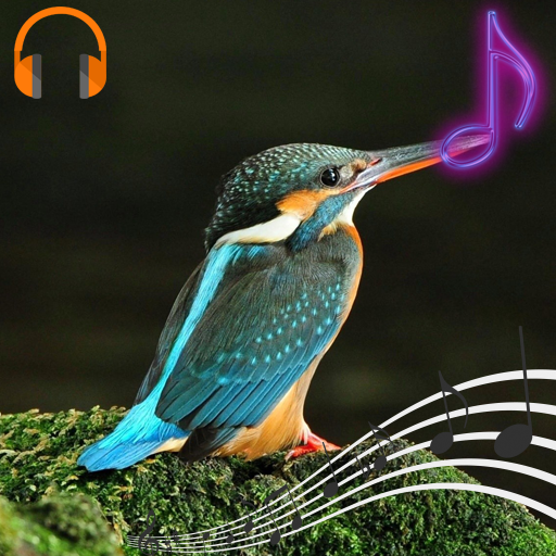 Birds Sounds and Ringtones icon