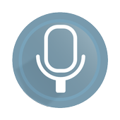 HSW voice command icon