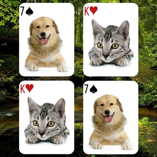 Animals Card Matching Game icon