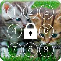 Cat Kitten PIN Screen Lock