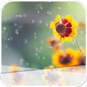 The Yellow Flowers on 9Apps