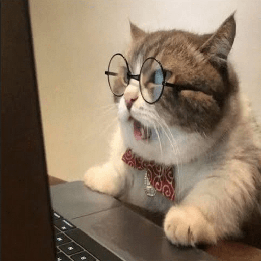 ikon Funny Cat Best Videos