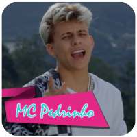 MC Pedrinho feat DJ Kalfani - Fruto Proibido on 9Apps