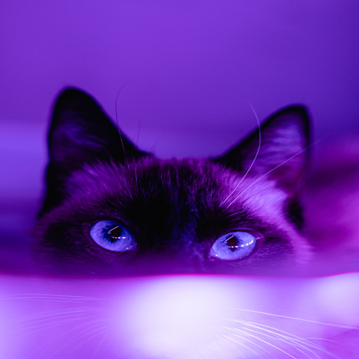 cute purple wallpapers icon
