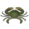 Crab simulator أيقونة