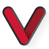 Vidcie Security icon