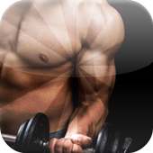 Mass Building Workouts Muscle