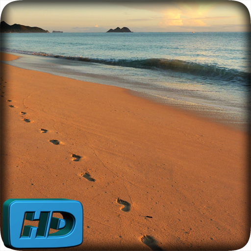 Beach Video Live Wallpaper icon