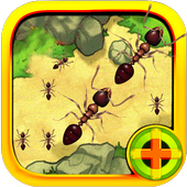 Snake Ant War Fighting WWE icon