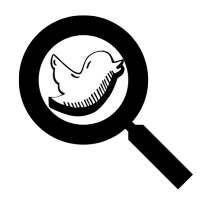 بحث تويتر on 9Apps