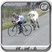 Bicycle Funny gif icon