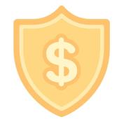 Secure Wallet icon