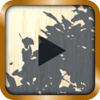 What's In The Box 3D