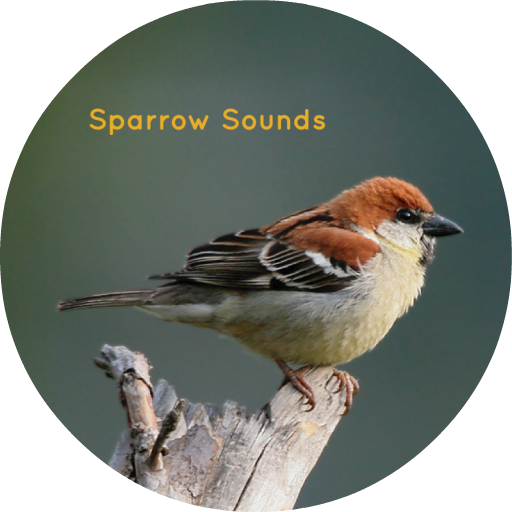 Sparrow Sounds - Sleep &amp; Relax icon