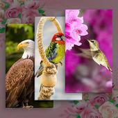 All Birds Wallpapers icon