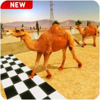 Crazy Camel Racing Fever 3D: Desert Race Simulator