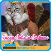 Funny Cats in Costume icon