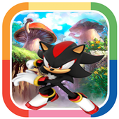 Sonic Run Games icon