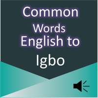 Common Words English to Igbo on 9Apps